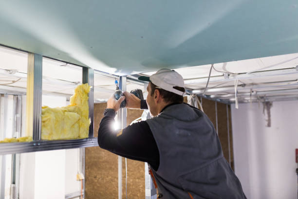 Best Energy Efficiency Insulation in Williamsburg, FL