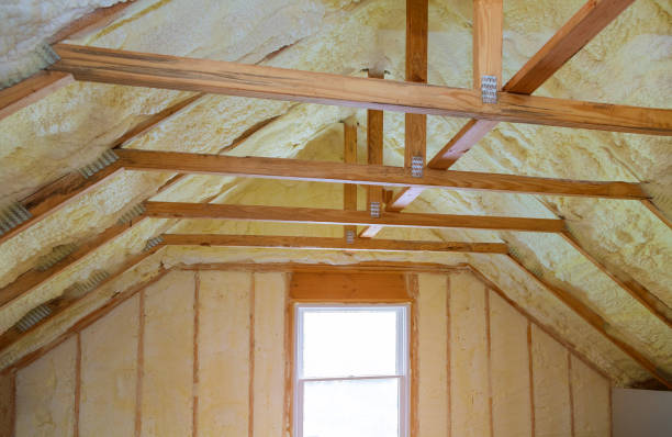 Best Insulation Maintenance and Repair in Williamsburg, FL