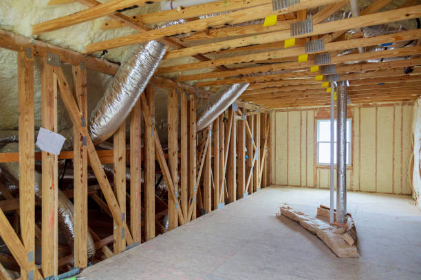 Types of Insulation We Offer in Williamsburg, FL