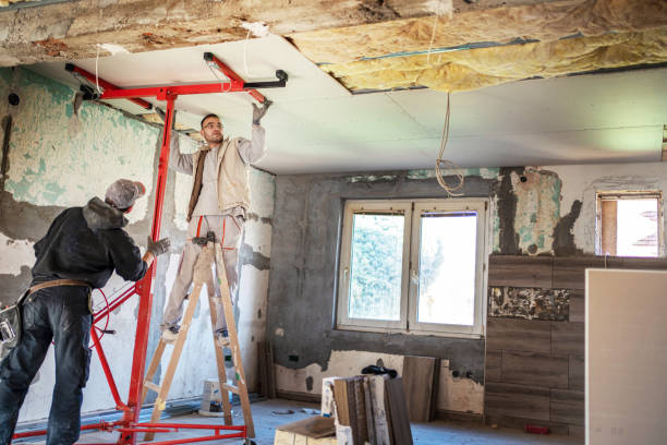 Best Energy Efficiency Insulation in Williamsburg, FL
