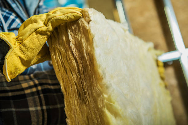 Professional Insulation Contractor in Williamsburg, FL