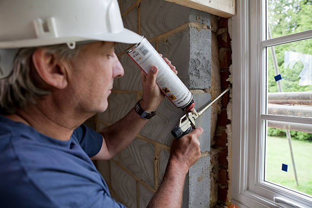 Best Cellulose Insulation in Williamsburg, FL