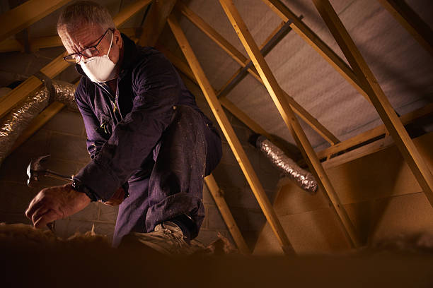Best Spray Foam Insulation in Williamsburg, FL
