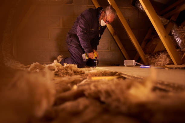 Best Insulation Maintenance and Repair in Williamsburg, FL